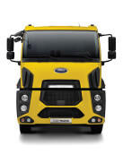 Lemon Yellow